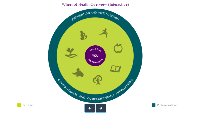 GOM Wheel of Health and Mindful Awareness
